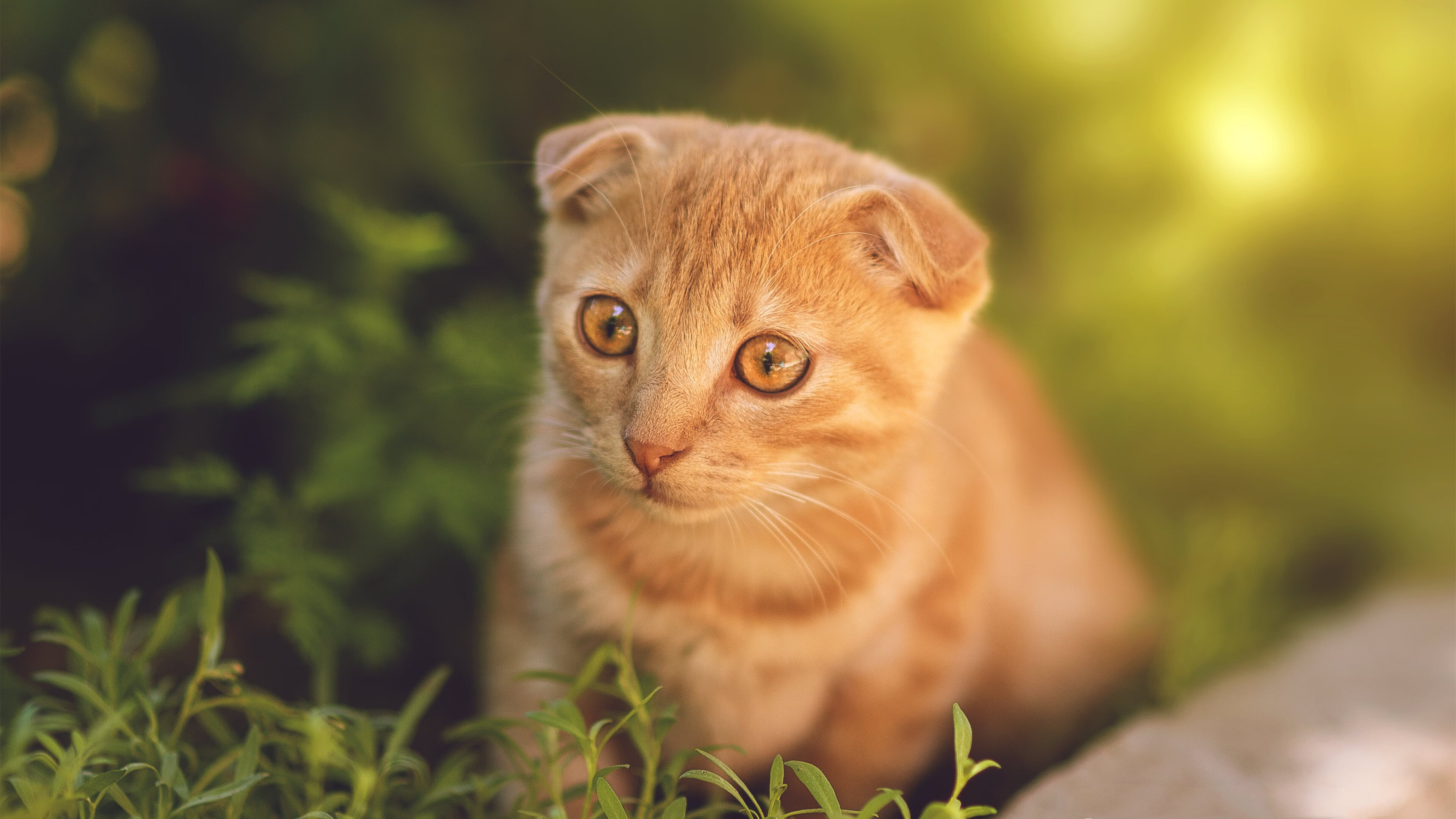 钢铁夜幕下的王者，小贾伦欧冠决赛末节封神记