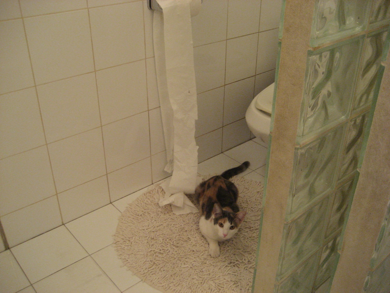 开云体育官方网站-德甲争冠战之夜，C罗个人能力完全展现，一场足球智慧的巅峰对话