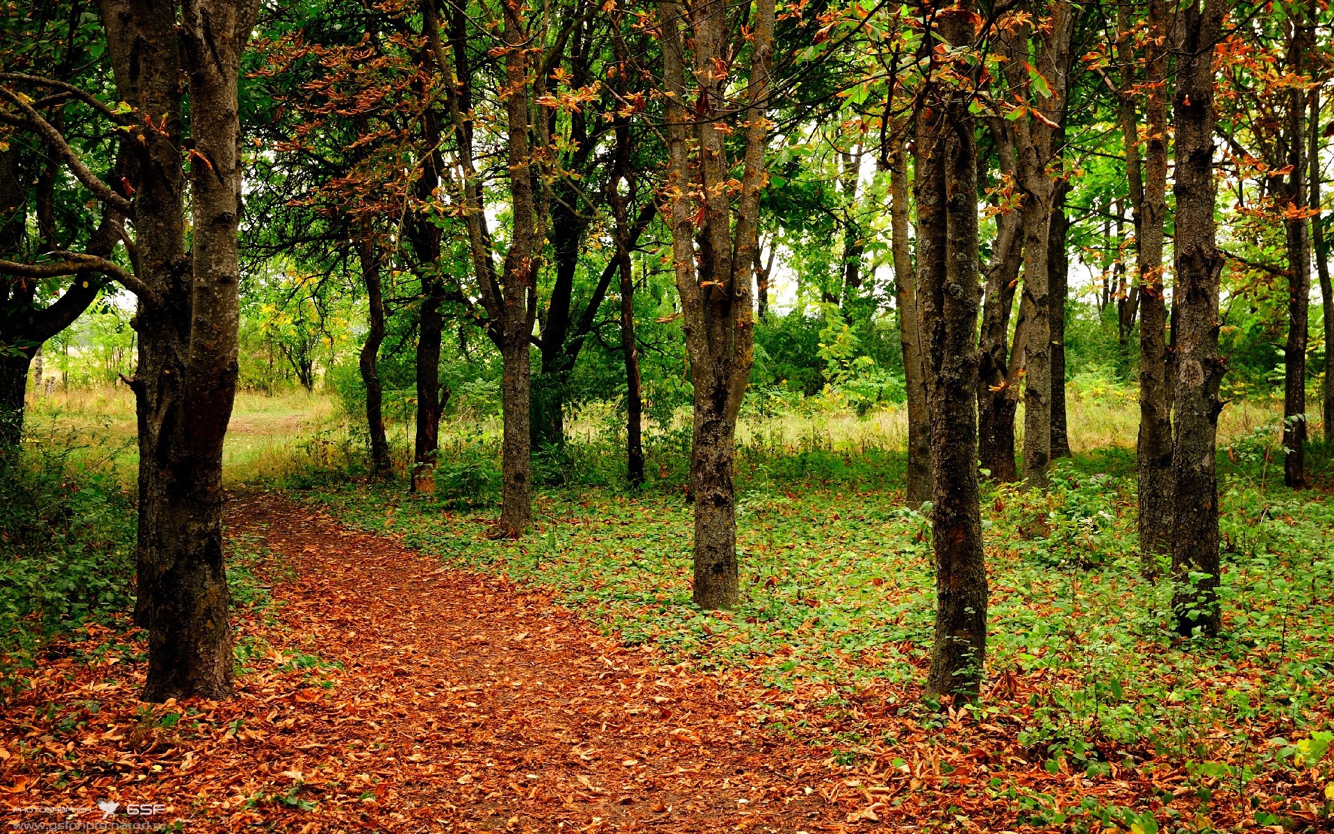 开云体育官方网站-德甲争冠战之夜，C罗个人能力完全展现，一场足球智慧的巅峰对话